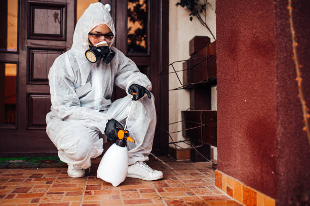 Reliable Ant Control contractor in Fulton, NY by Show Me Pest Control